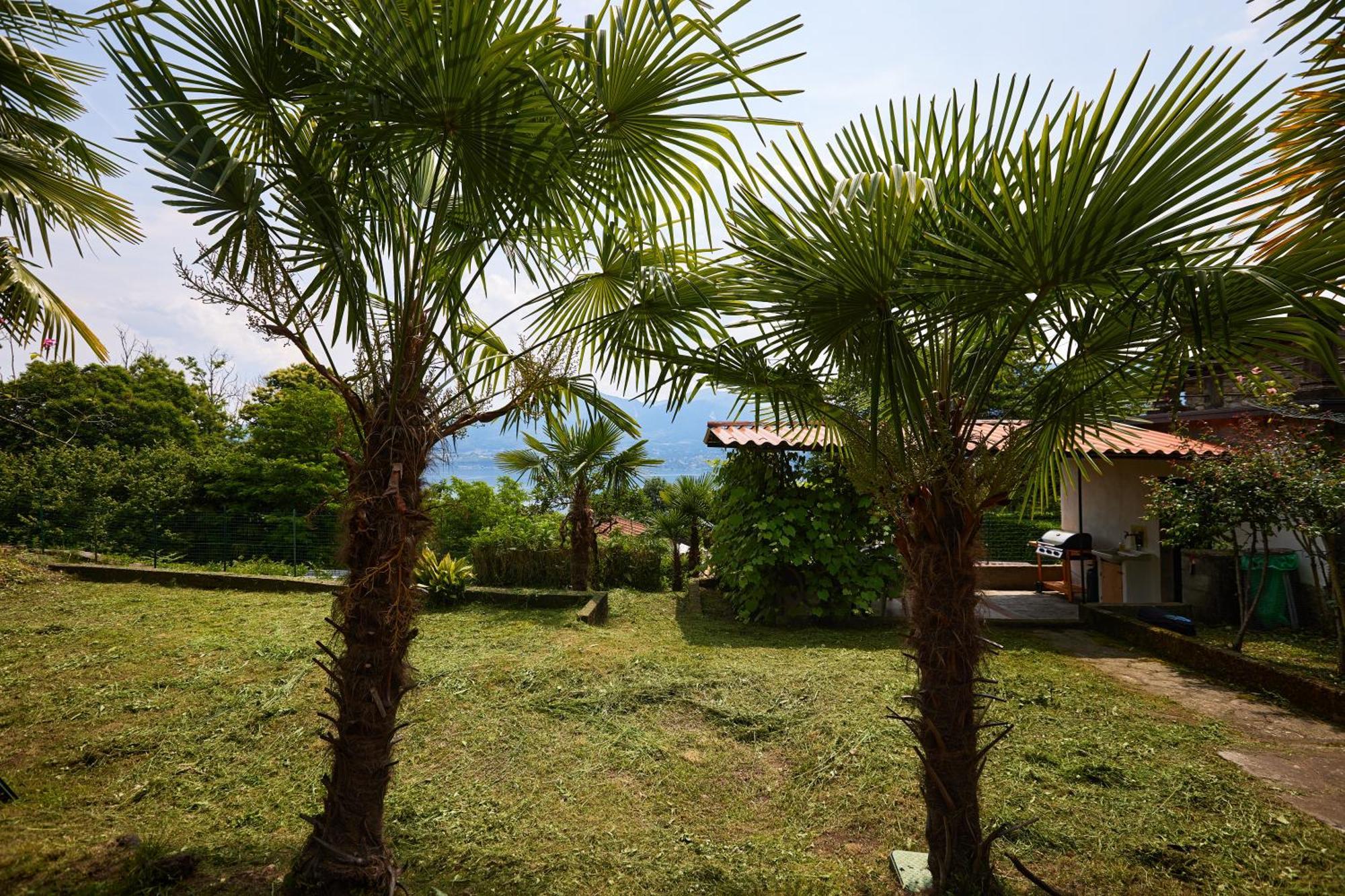 Villa Di Paese - Splendida Vista Lago Maggiore Oggebio Εξωτερικό φωτογραφία